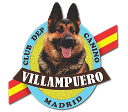 perros pastores alemanes Villampuero
