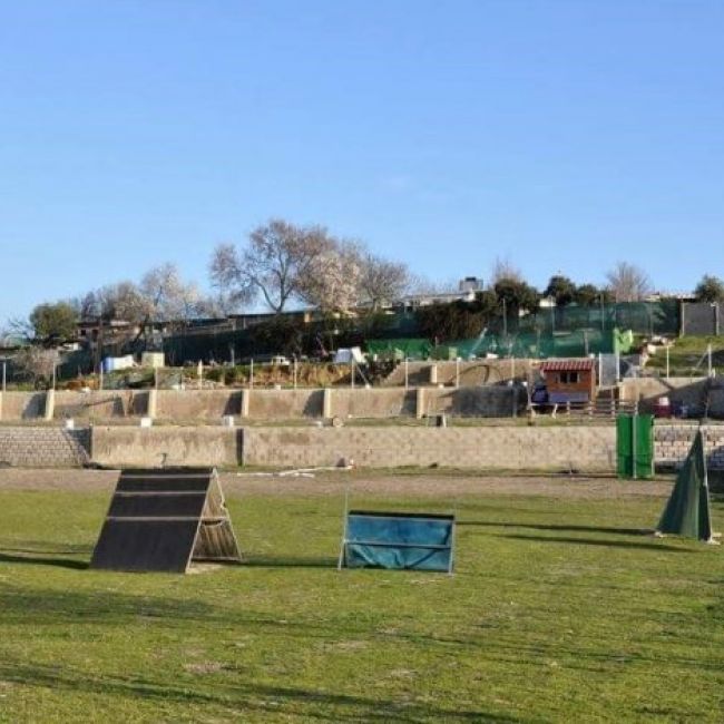 campo agility en Madrid