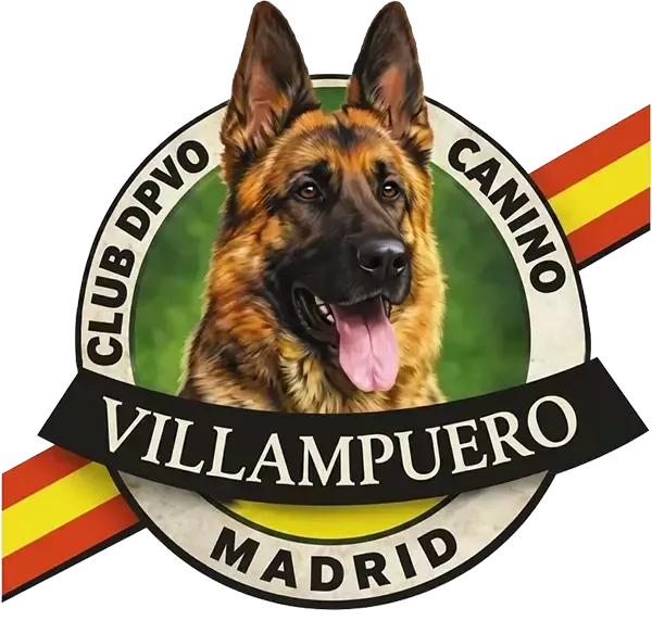 perros pastores alemanes Villampuero