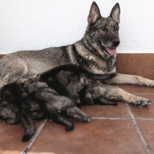 whatsapp image 2026 03 27 at 13 51 01