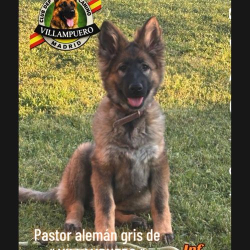 whatsapp image 2026 03 26 at 17 05 57