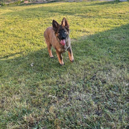 whatsapp image 2026 03 27 at 13 38 05