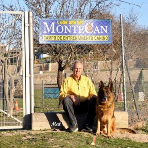 Madrid canina guardería